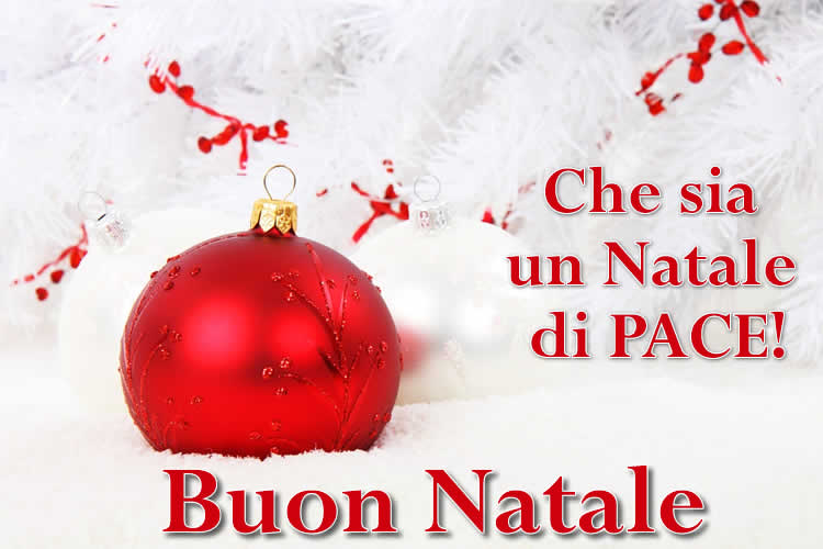 Buon natale e Buon anno 2025 Immagini , auguri e frasi