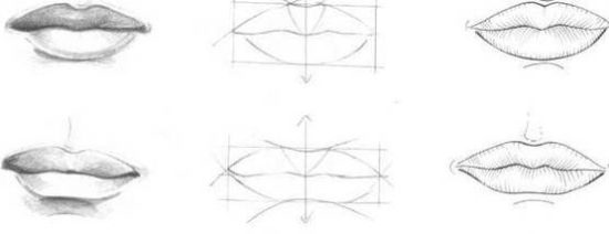 Disegni Da Copiare Esempi Di Disegni Da Studiare E Copiare