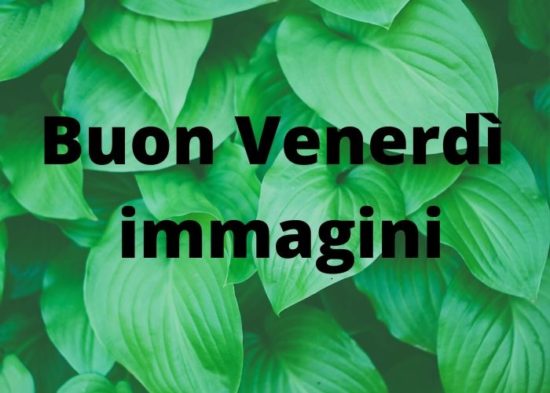 Le Migliori Immagini Buon Venerdi Per Whatsapp Gratis