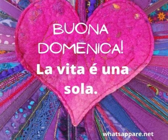 Frasi E Immagini Di Buona Domenica Divertenti