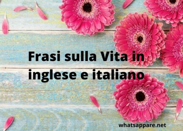 Le 40 Piu Belle Frasi Sulla Vita In Inglese E Italiano Con Immagini